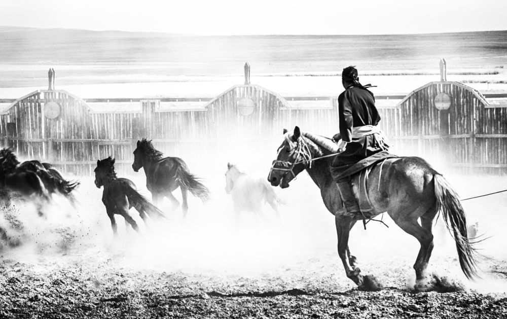 The Horse riding show