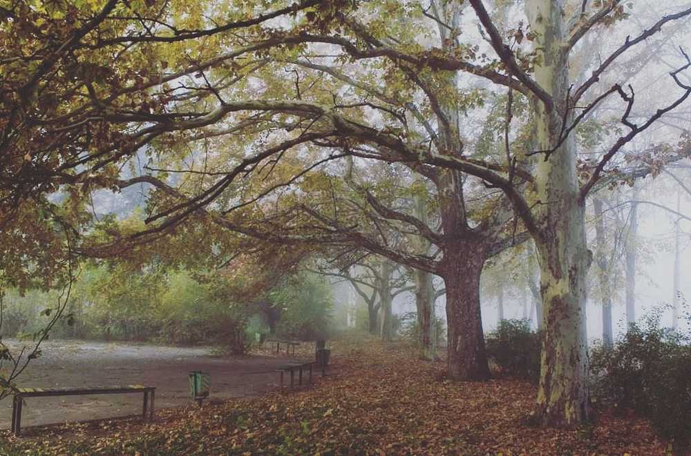 Осенние призраки