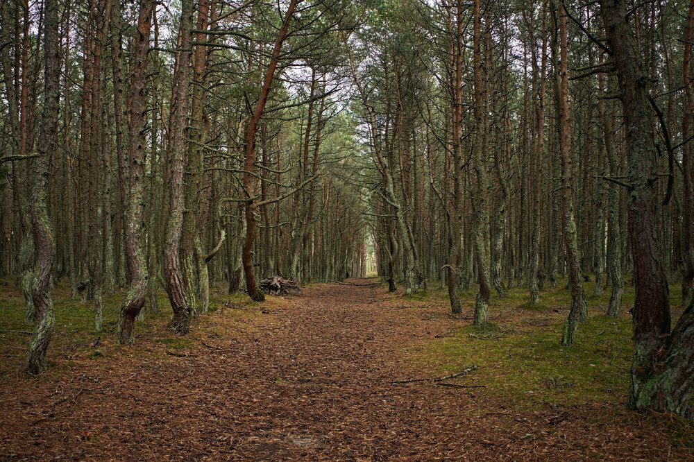 Photograph by Владимир Чернышов