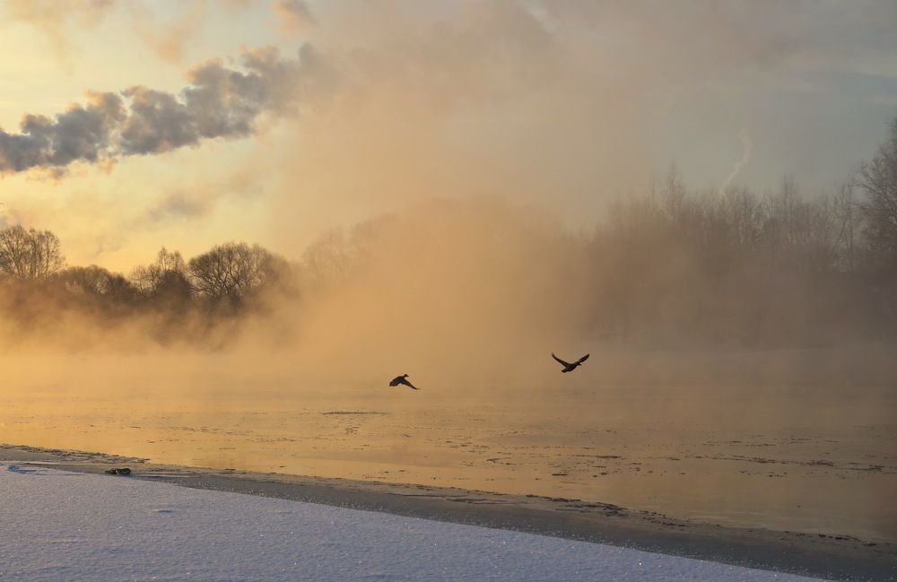 Фотография автора Елена Колосова