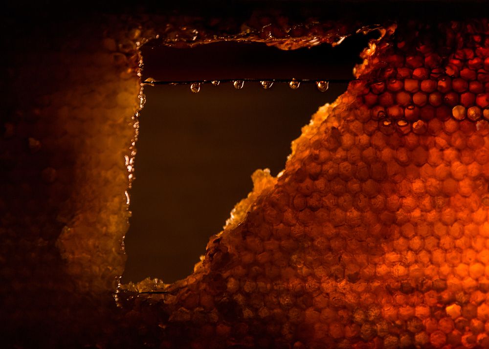 Photograph by Ира Солощ