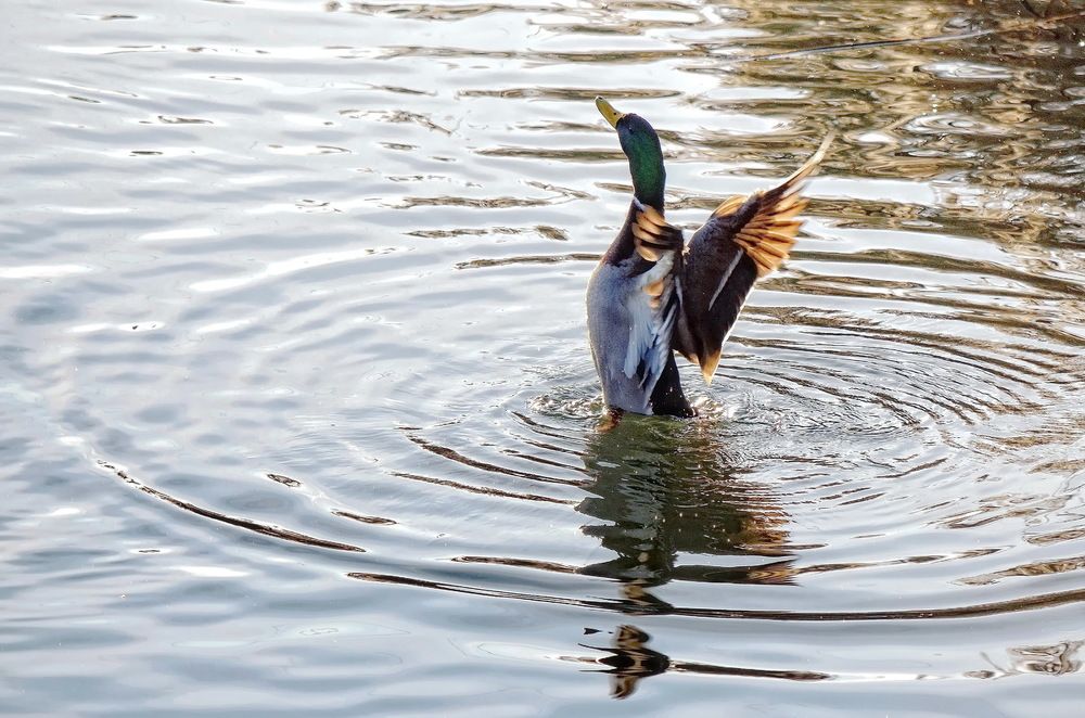 Photograph by Сергей Клапишевский