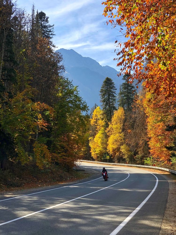 По дороге в осень.