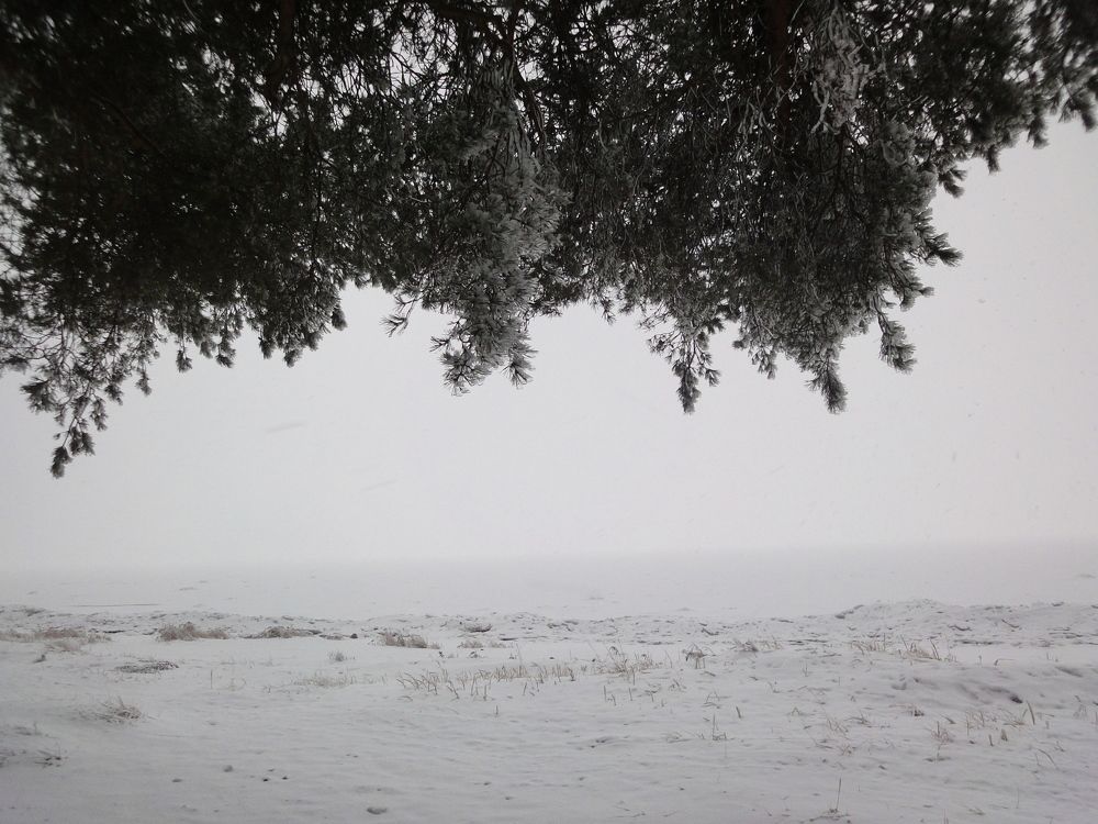 Photo #5762542