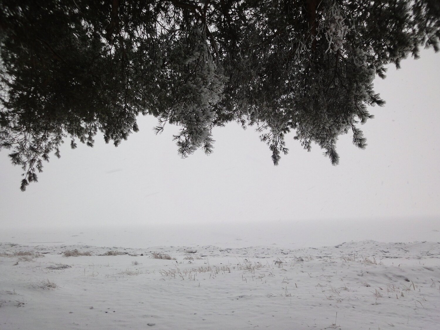 Photo #5762542
