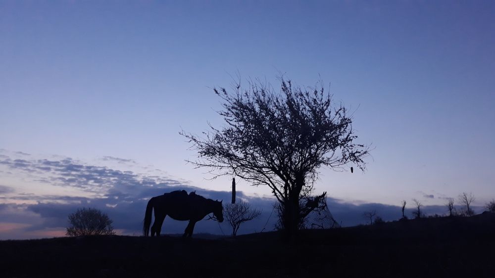 Photo #5762557