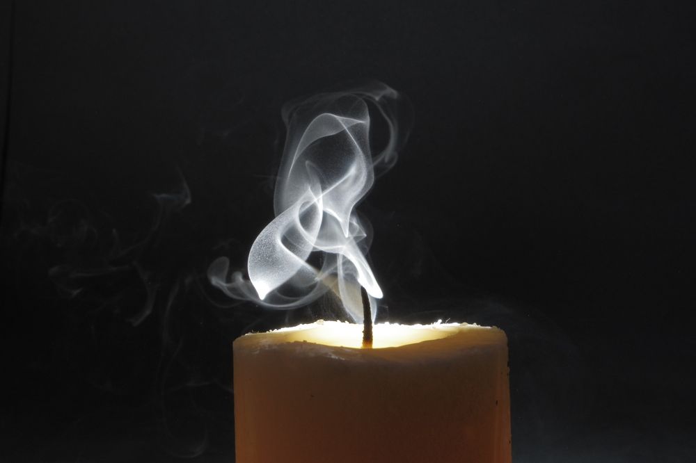 Photograph by Josue Rosales