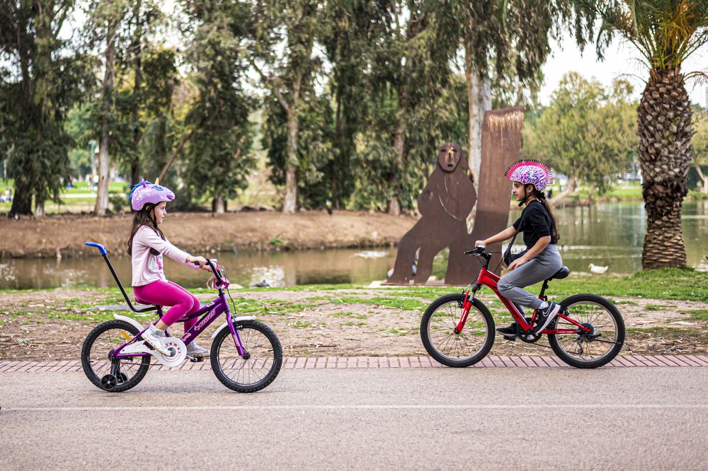 Photograph by Николай Литвак