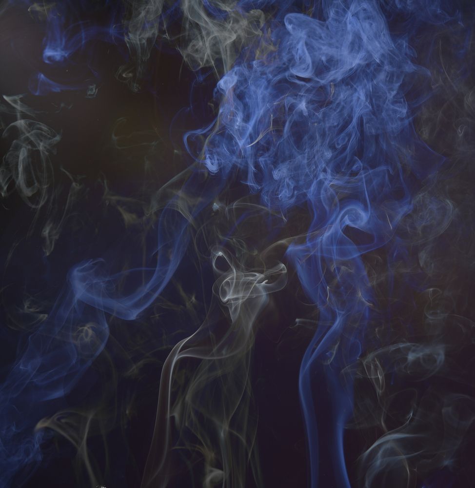 Фотография автора Ася Бабушкина