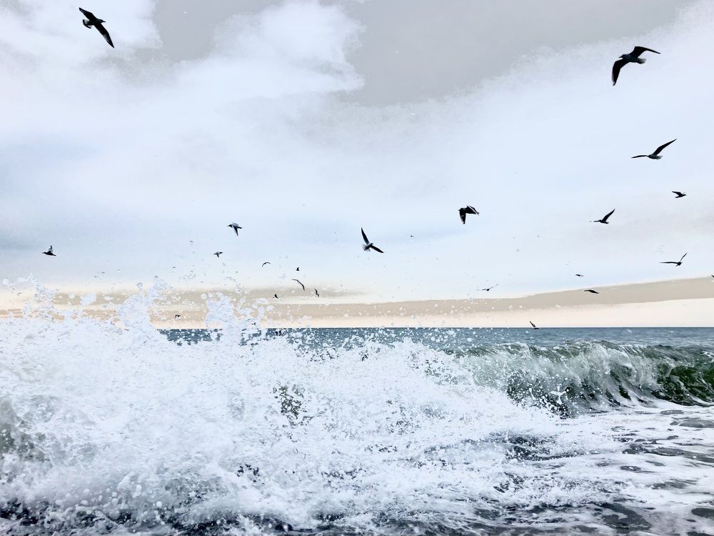 Photograph by Анастасия Павлова