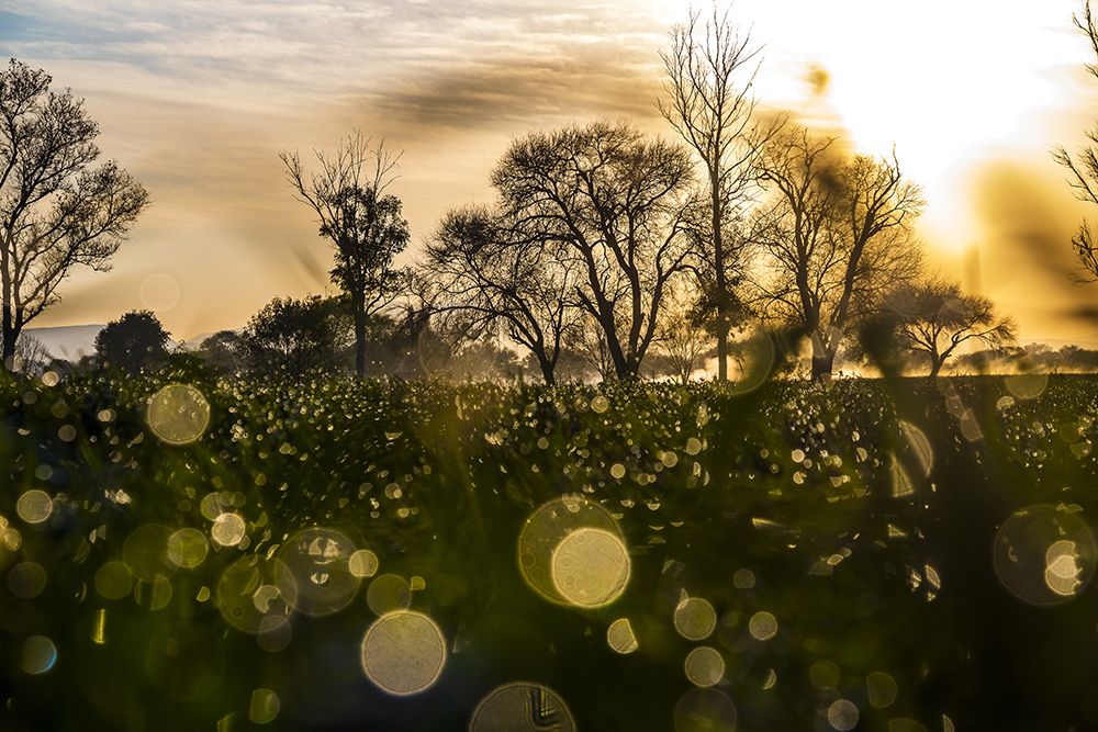 Photograph by Esteban David Saavedra Del Rayo