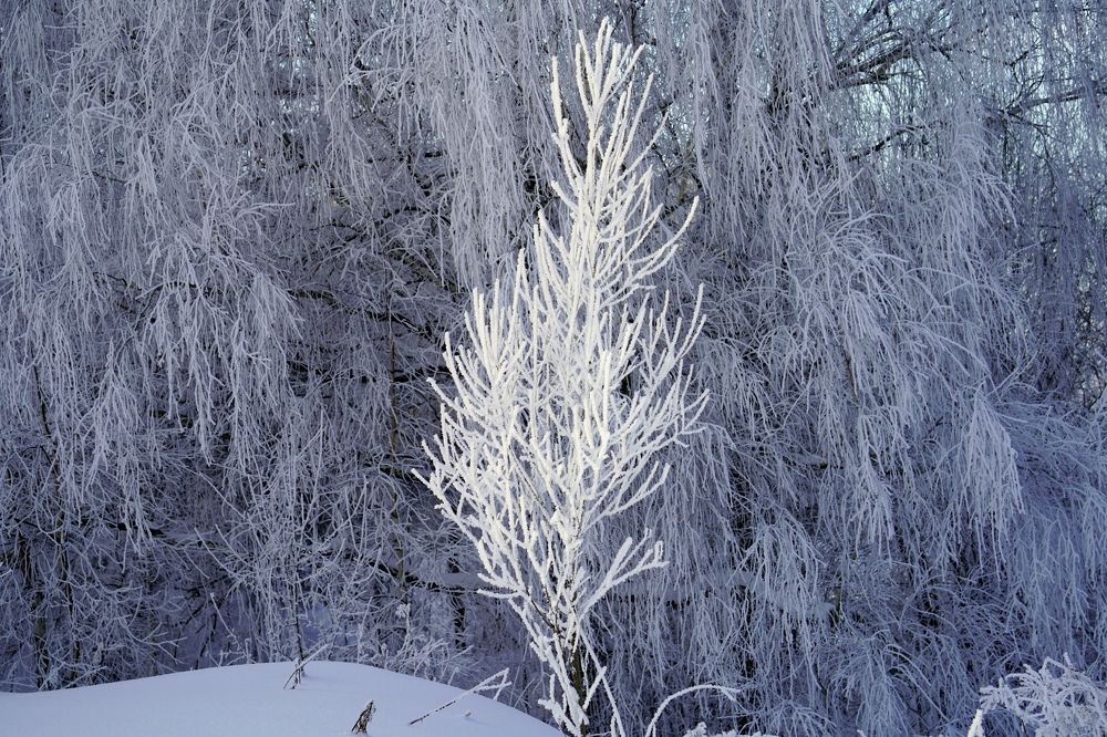 Photograph by Измаил Ефимов