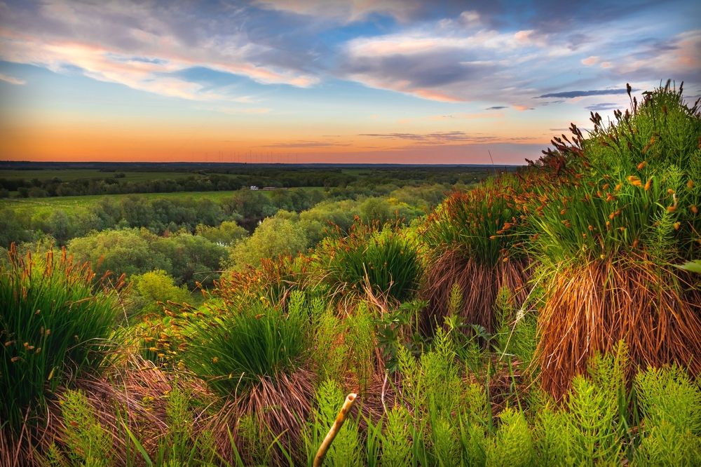 Весенний зеленый холм