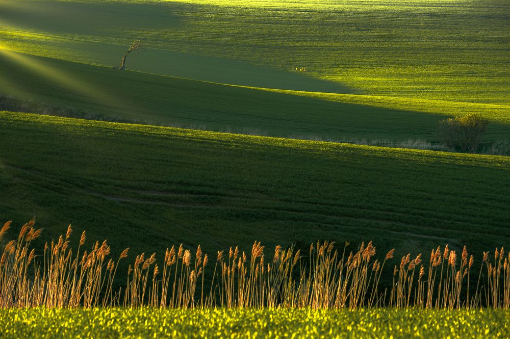 The first rays of the sun on the hills of Moravia.