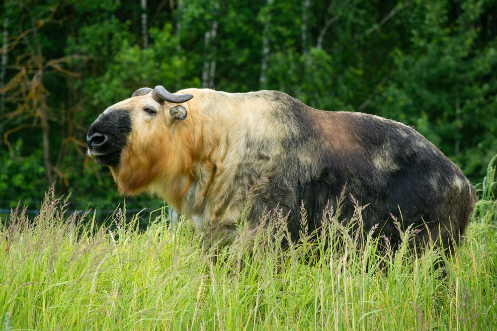 Photograph by Анна Орлова