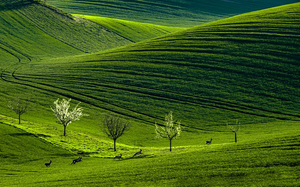 Garden of Eden in the hills of Moravia