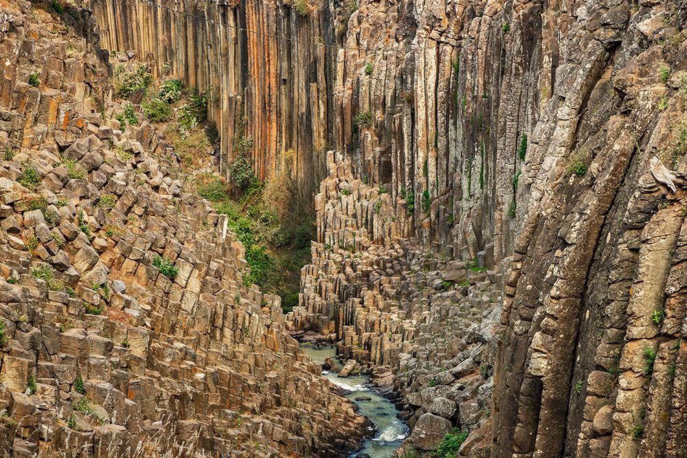 Photograph by Esteban David Saavedra Del Rayo