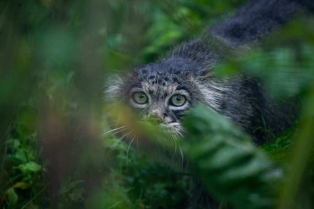 Photograph by Анна Орлова