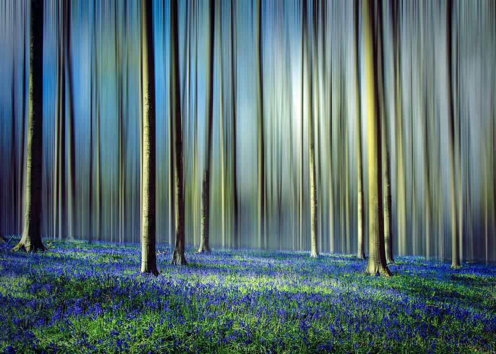 Photograph by Go Andy