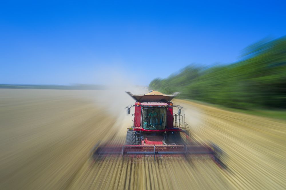 Photograph by Денис Третьяков