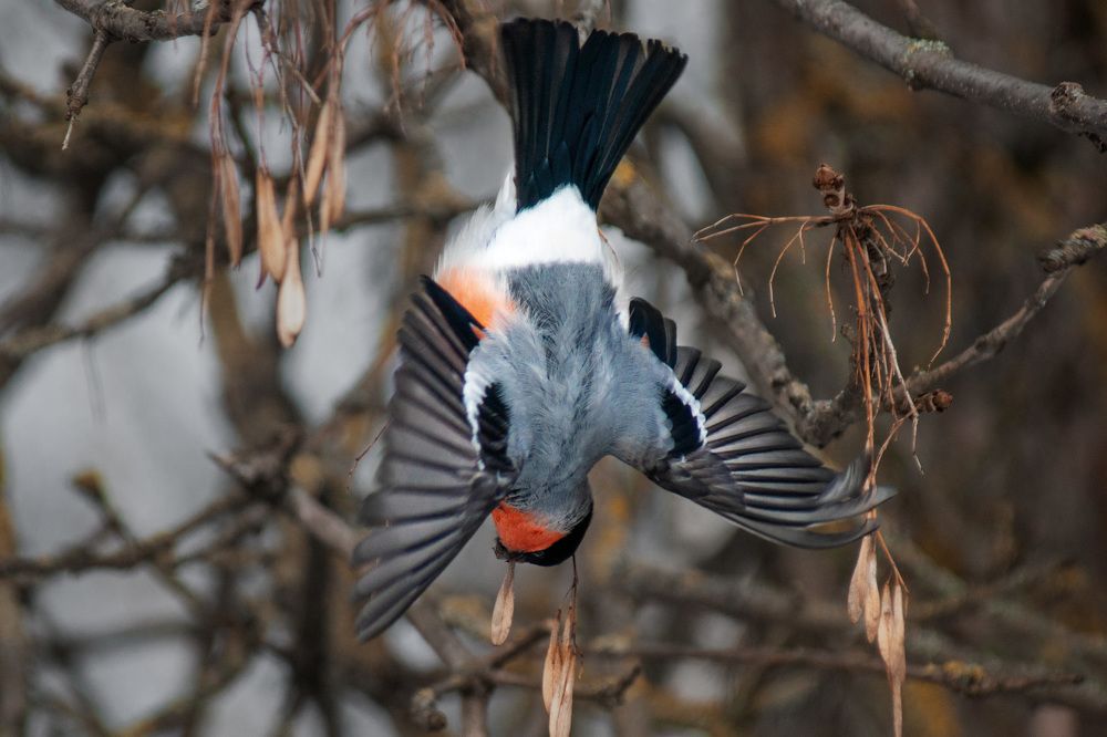 Photograph by Ольга Буракова