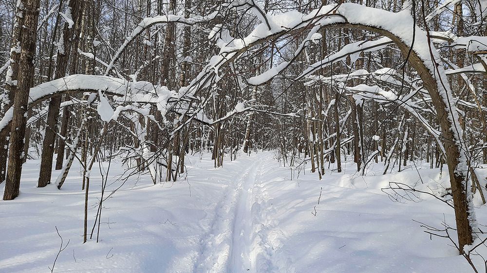 Photograph by Эдуард Шадров