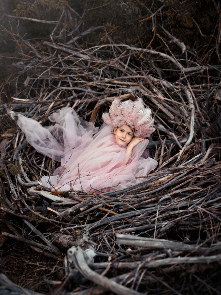 "Пробуждение Алконоста"