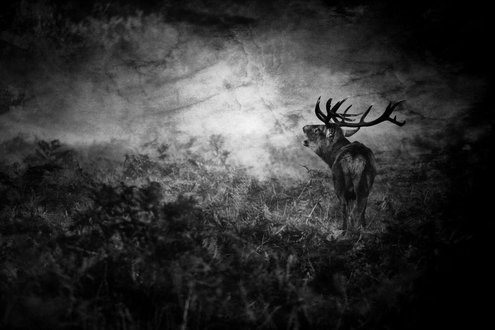 The Call of Darkness...