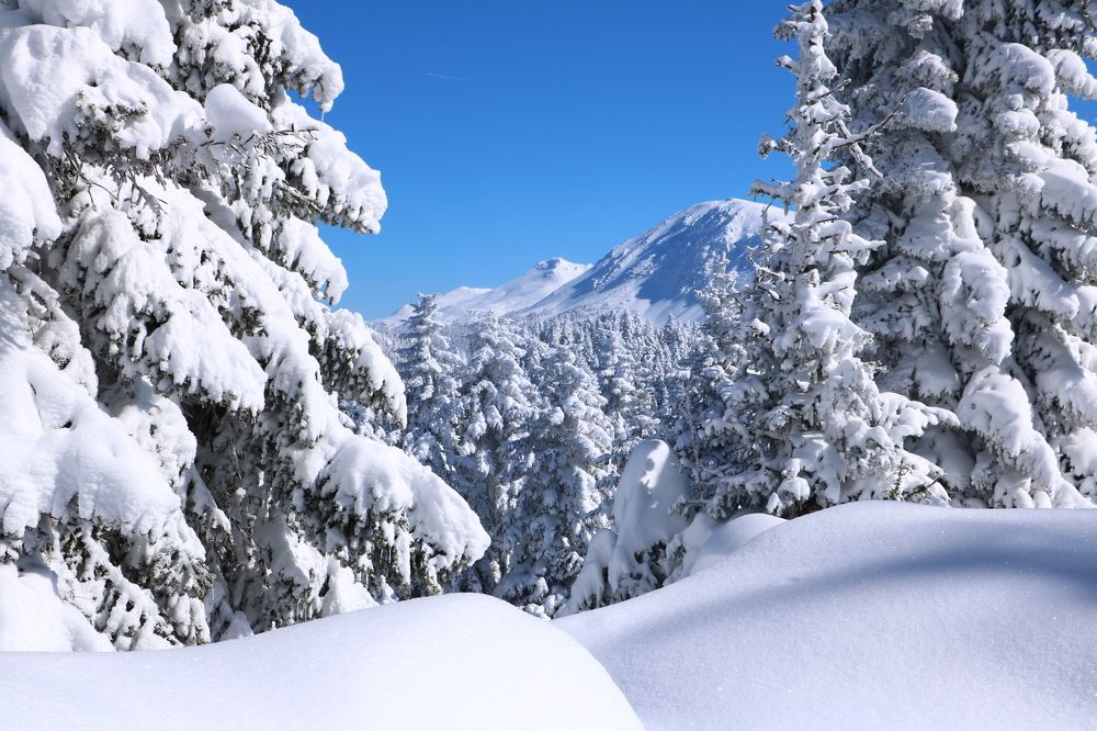 Photograph by Cengiz Yalcin