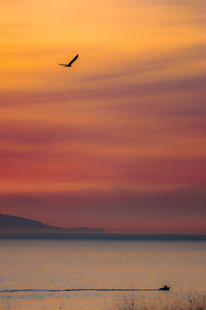 Photograph by Roman Vershynin