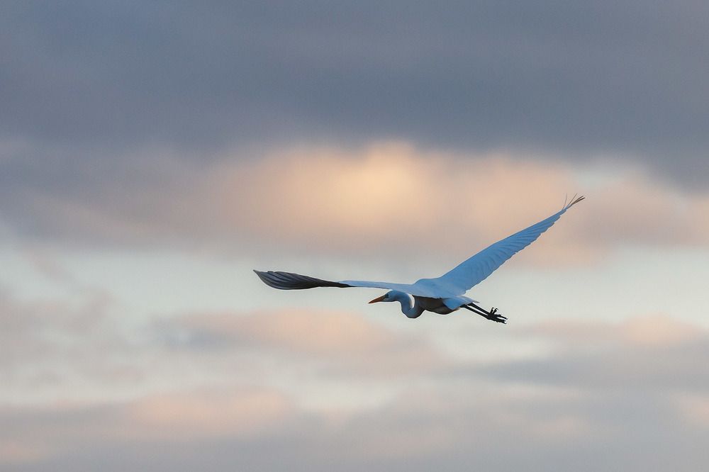 Photograph by Сергей Фадин