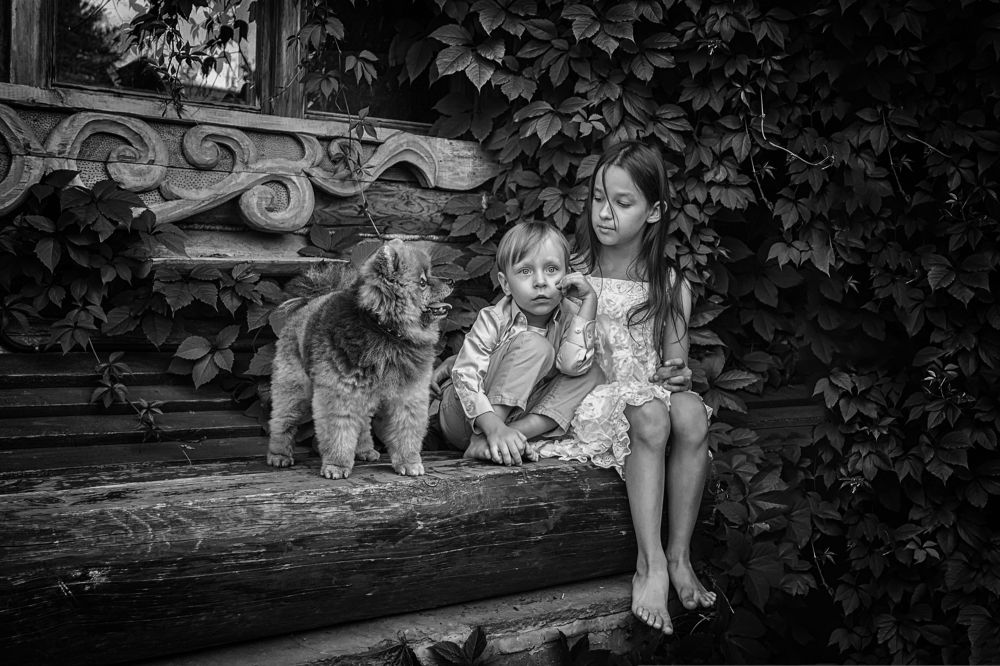 Photograph by Николай Фролов