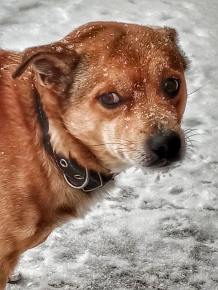 Фотография автора Марина