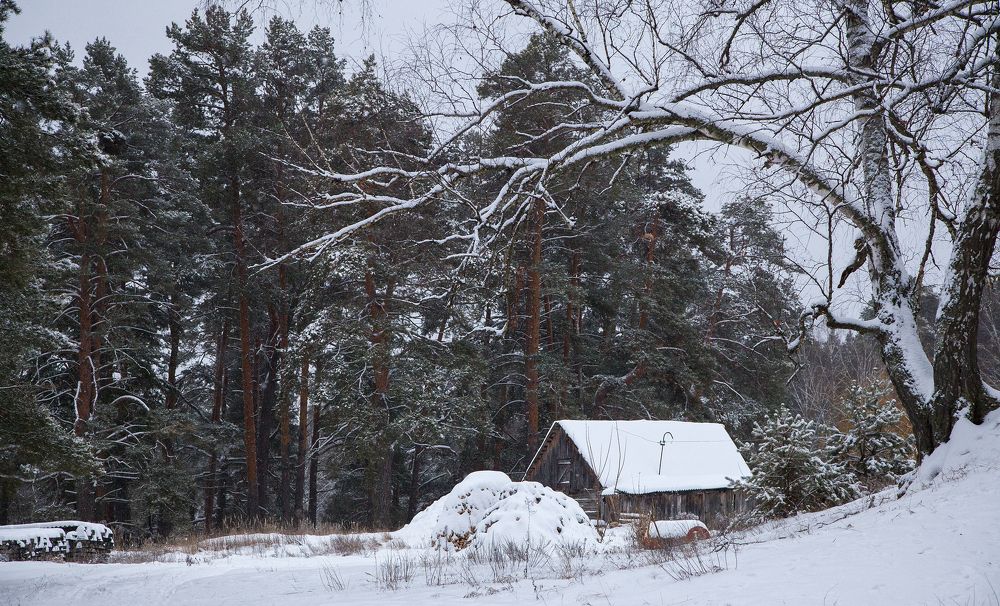 Photograph by Дмитрий Черепков
