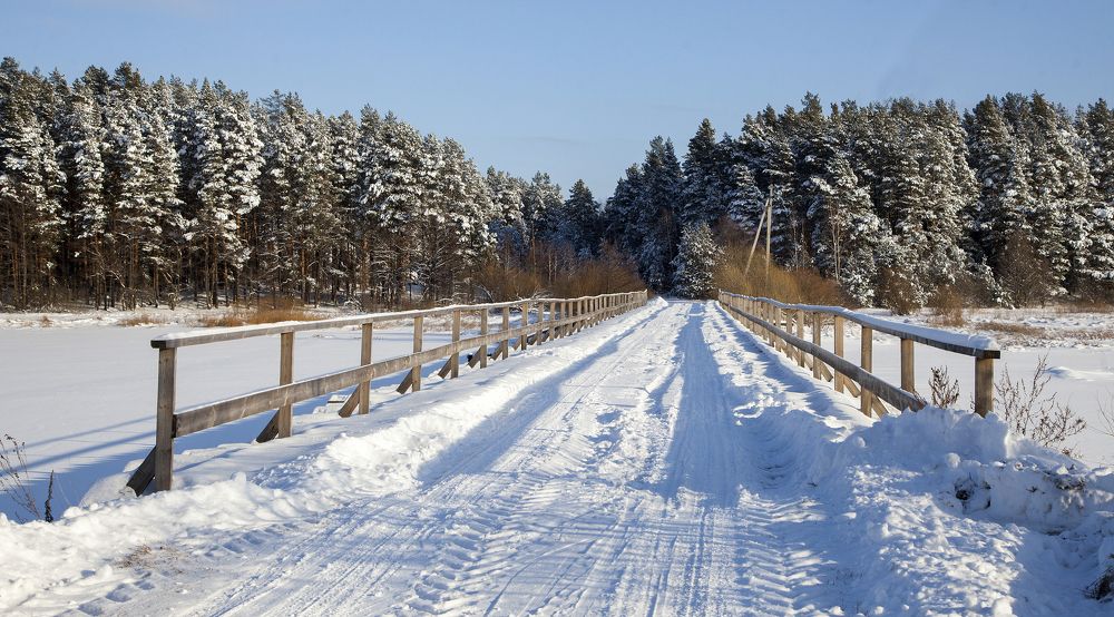 Photograph by Дмитрий Черепков