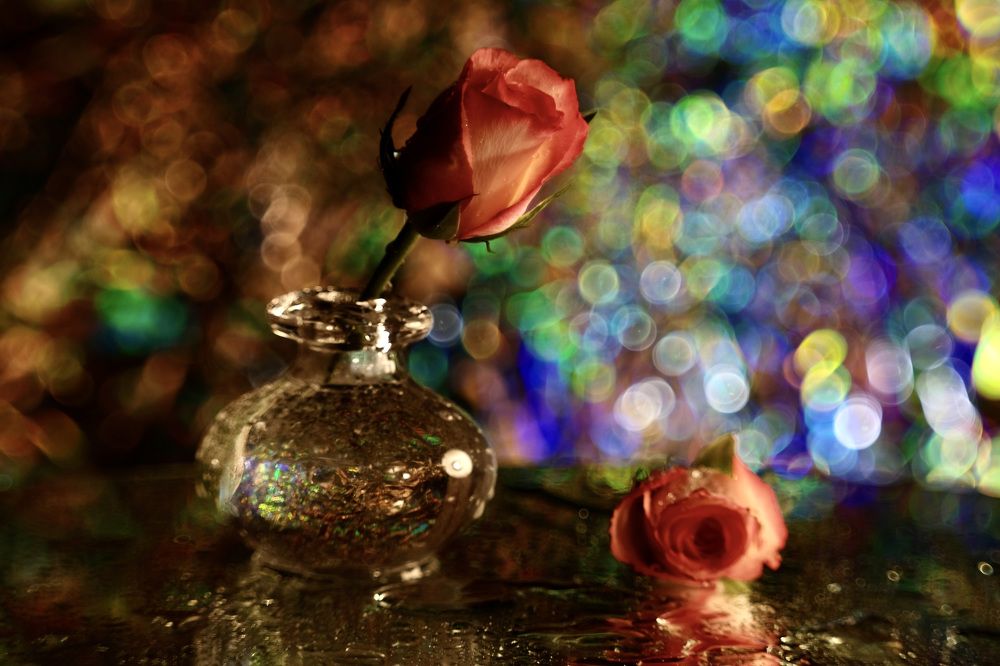 In a world of dreams