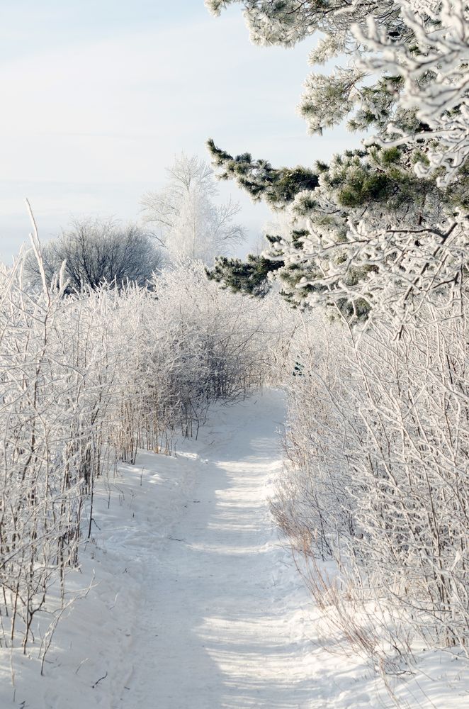 Photograph by Александр Юсов