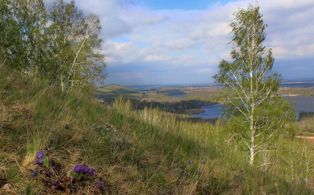 Photograph by Наталья Юрова