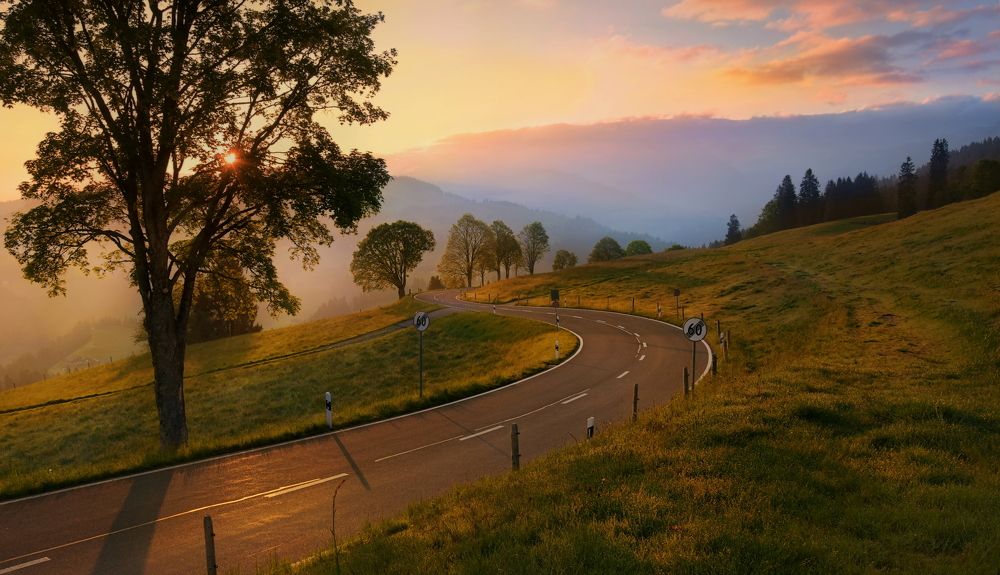 Photograph by Elena Wymann