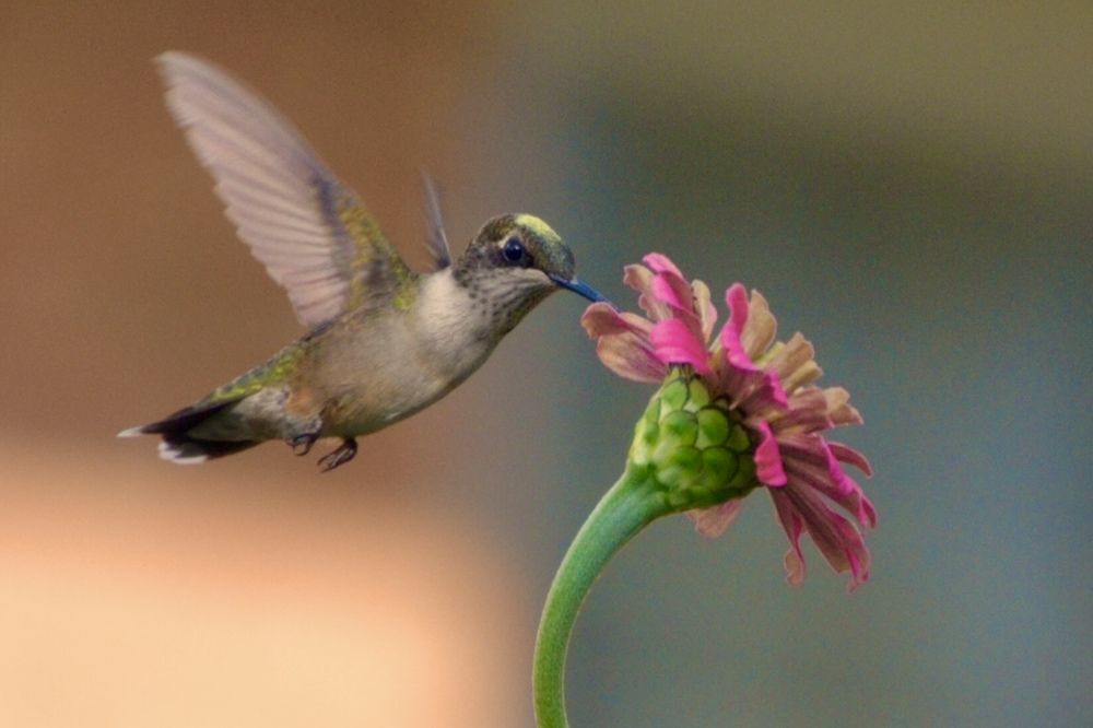 Photograph by Lisa Watkins