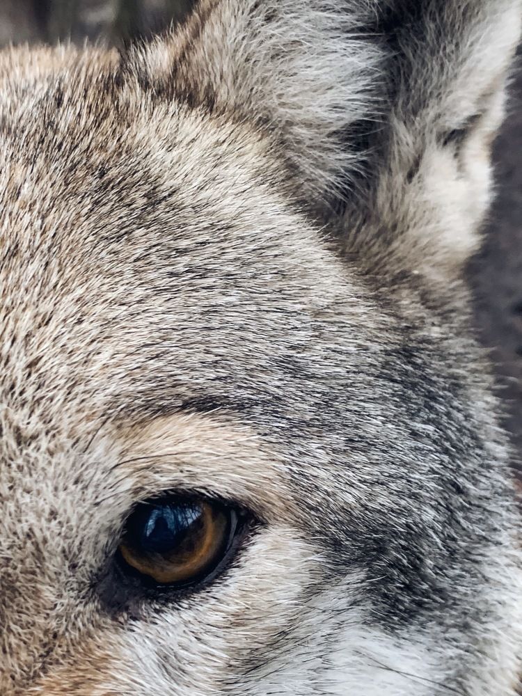 Photograph by Павел Тищенко