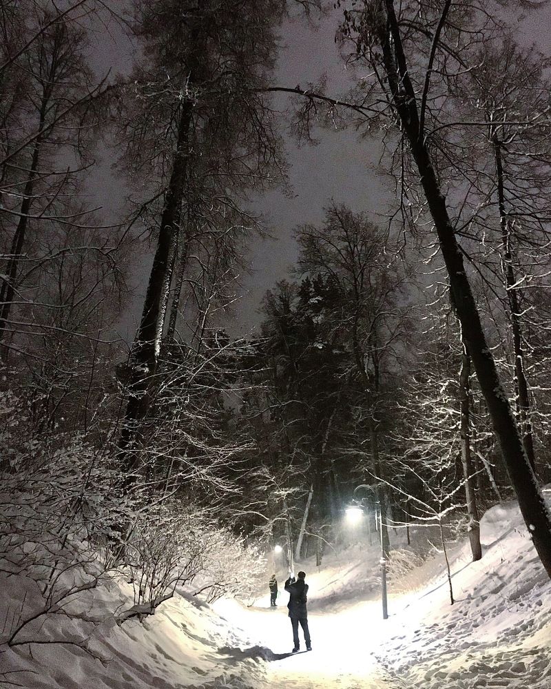 Photograph by Светлана Богомолова