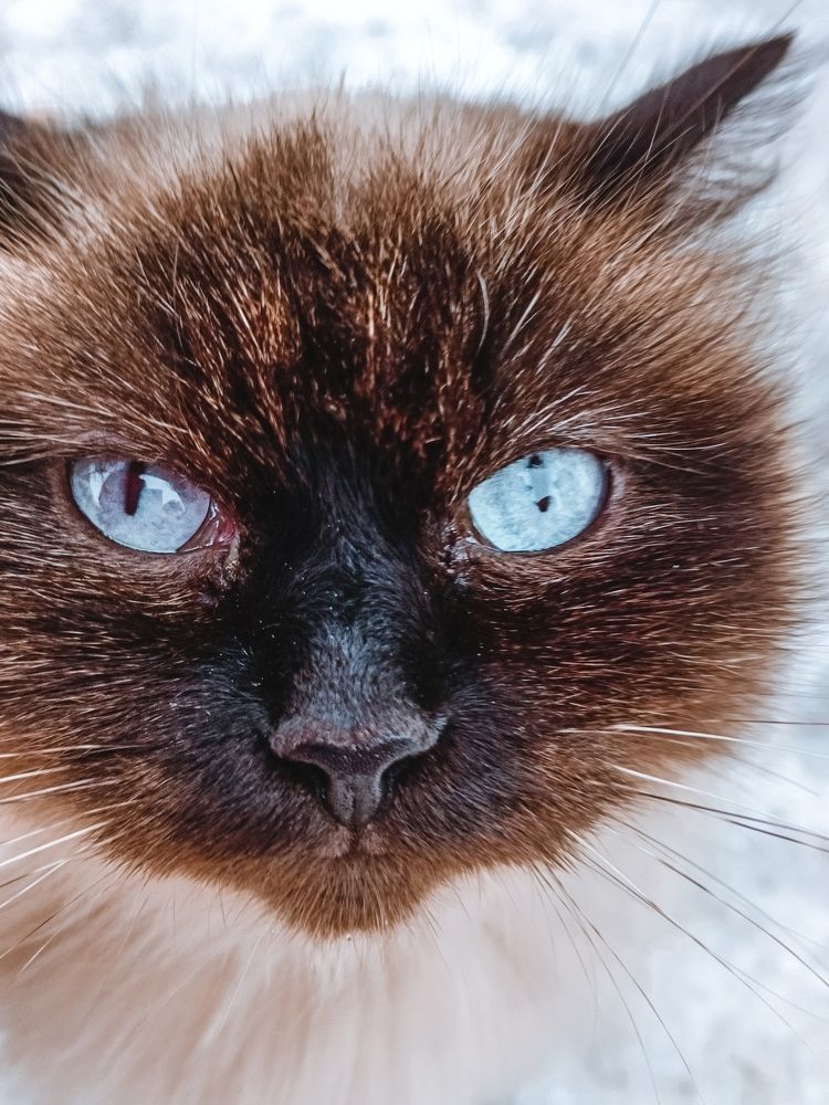 Фотография автора Марина