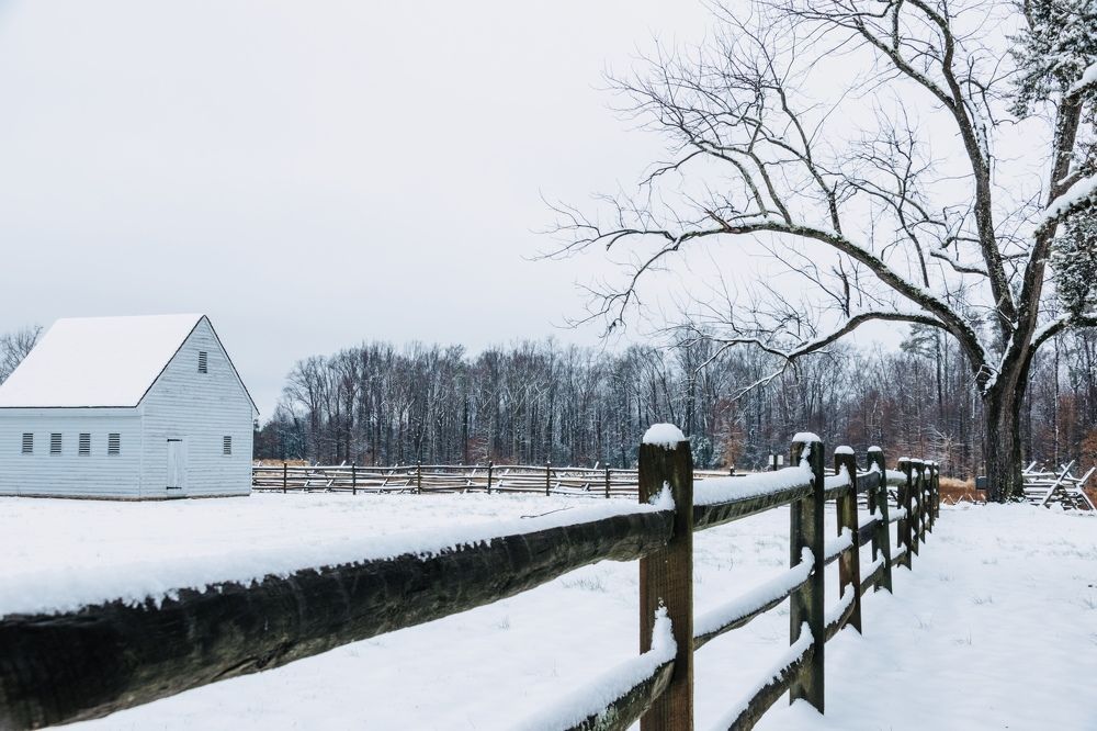 Photograph by Lisa Watkins