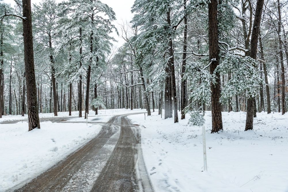 Photograph by Lisa Watkins