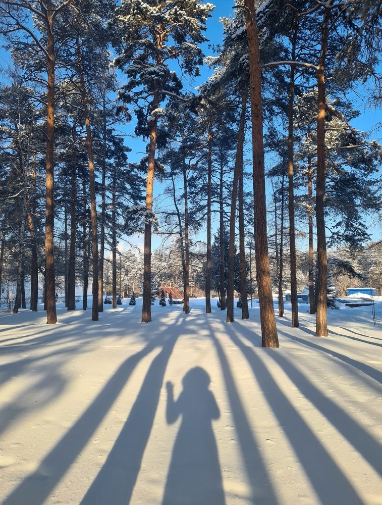 Photograph by Анастасия Коваль