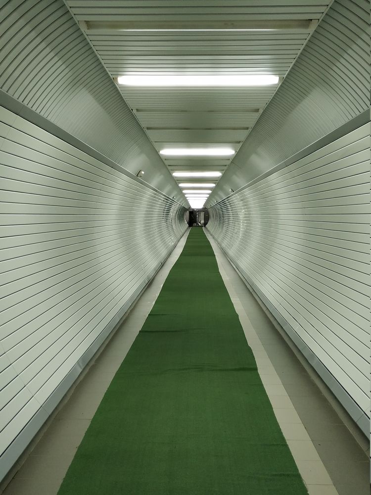 Путь к морю