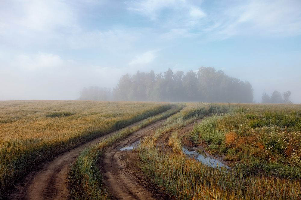 Летнее утро в деревне...