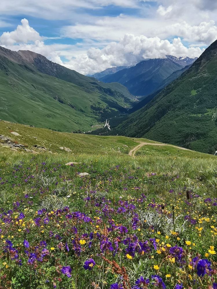 Photograph by Antonina Marchenko