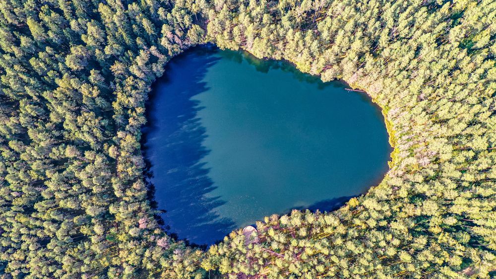 Photograph by AVIC A.M.